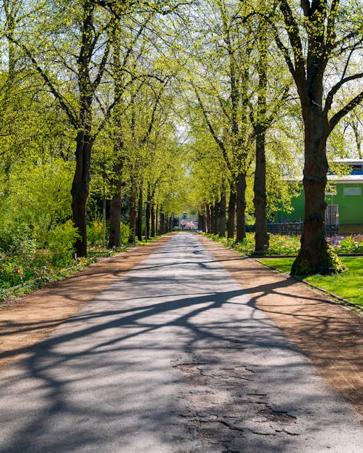 https://manwithavanteddington.co.uk/blog/bushy-park-landmark-moves-safe-routes-for-bulky-items/