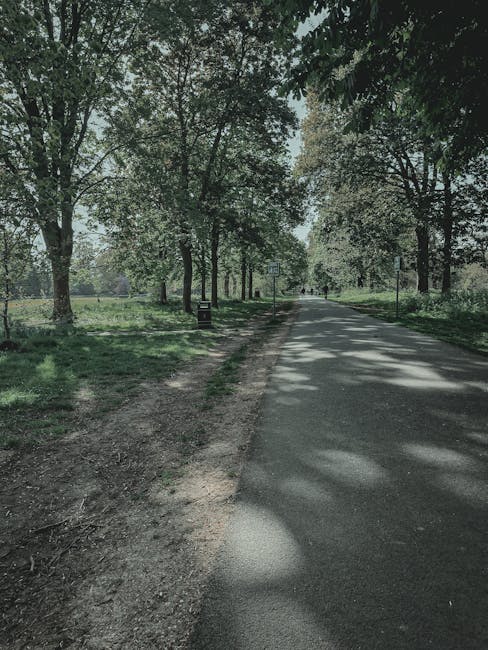 A quiet, paved road surrounded by lush greenery and tall trees on both sides, with some trees showing early signs of autumn foliage. The road curves gently to the left and is bordered by low wooden posts and grassy verges. In the background, more trees extend into the distance under a bright, clear sky. The scene is well-lit with natural daylight, indicating a calm and peaceful environment suitable for home relocation or furniture transport. At the side of the road, there is an informational signpost and a narrow footpath runs parallel to the roadway. The overall setting suggests a scenic route that could be used for safe routes when moving bulky items or large furniture, aligning with services offered by Man With a Van Teddington as part of their removals and moving logistics, particularly near landmark areas such as Bushy Park.